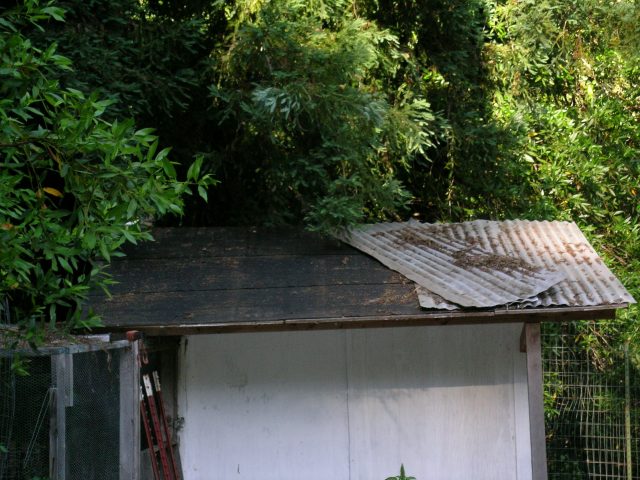 The roof was falling apart