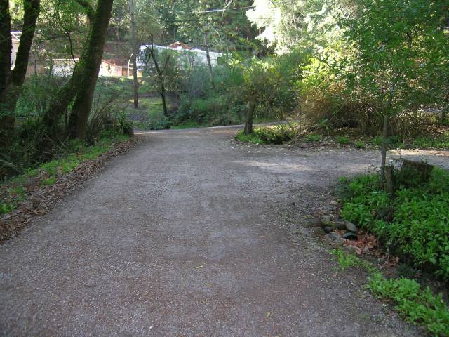 Front driveway before the gate installed.