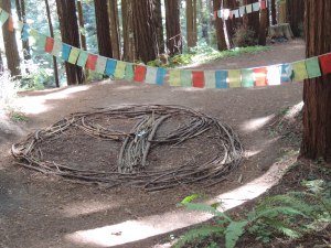 Peace sign made of redwood branches