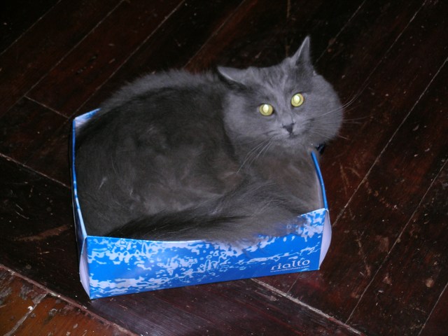 shoebox