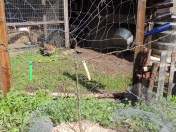 DSCN2276