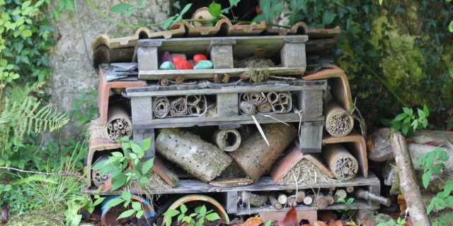 bug-hotel